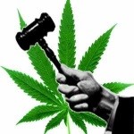 Ganja ‘smell’ lands GT man in jail Ganja ‘smell’ lands GT man in jail