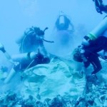 $10k needed to keep reef restoration project going $10k needed to keep reef restoration project going