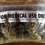 Ganja more than 100 times safer than booze Ganja more than 100 times safer than booze