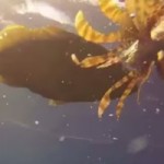 Imports undermining local lionfish attack Imports undermining local lionfish attack