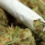 PPM considering decriminalising ganja PPM considering decriminalising ganja