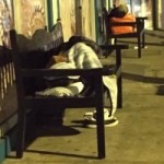 CIG claims just 12 homeless families CIG claims just 12 homeless families