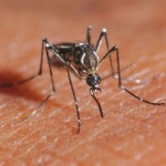 CDC confirms Zika is causing birth defects CDC confirms Zika is causing birth defects