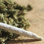 More calls to decriminalise ganja More calls to decriminalise ganja