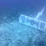 Cruise line coughs up $100k for reef damage Cruise line coughs up $100k for reef damage