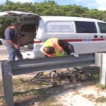 Woman denies killing passenger in Rum Point crash Woman denies killing passenger in Rum Point crash