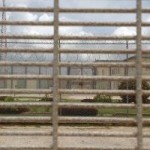 Prison investigates jailhouse assault on guard Prison investigates jailhouse assault on guard