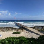 Police reveal death of another visiting diver Police reveal death of another visiting diver