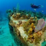 CIG to press on with cruise port plan CIG to press on with cruise port plan