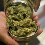 Bermuda lawmakers decriminalise ganja possession Bermuda lawmakers decriminalise ganja possession