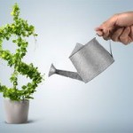 CIDB loans for public servants and small businesses CIDB loans for public servants and small businesses
