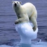 World keeps getting hotter, say scientists World keeps getting hotter, say scientists
