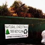 Feed the ‘Beast’ for free mulch, says DEH Feed the ‘Beast’ for free mulch, says DEH