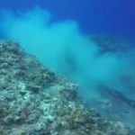 Reef damage from anchor in legit zone Reef damage from anchor in legit zone