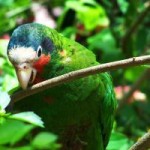 Trust secures protection of wetlands Trust secures protection of wetlands