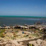 Environment still not on CPA agenda Environment still not on CPA agenda