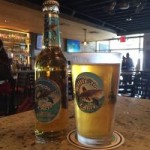 $100k raised for sharks from local beer $100k raised for sharks from local beer