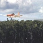 Aerial spraying underway ahead of peak mozzie season Aerial spraying underway ahead of peak mozzie season