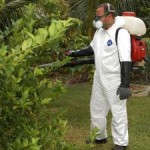Third Zika case transmitted in George Town Third Zika case transmitted in George Town