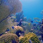 Conservation law under threat Conservation law under threat