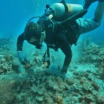 Panton reveals challenges of yacht reef damage Panton reveals challenges of yacht reef damage