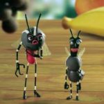 Oxitec insists GM mozzies are safe and effective Oxitec insists GM mozzies are safe and effective