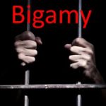 Marriage deceit draws nine-month term Marriage deceit draws nine-month term