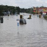Scientists reveal direct devastation of climate change Scientists reveal direct devastation of climate change