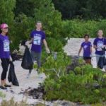 Smith Cove spruced up to celebrate preservation Smith Cove spruced up to celebrate preservation