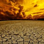 Cayman facing driest year on record Cayman facing driest year on record