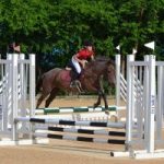 Equestrian Center fights government over road Equestrian Center fights government over road