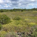 Huge support for land conservation Huge support for land conservation