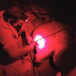 DoE officers save another turtle from poachers DoE officers save another turtle from poachers