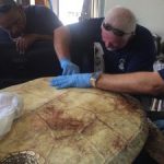 DoE and vets rush to save poached turtle DoE and vets rush to save poached turtle