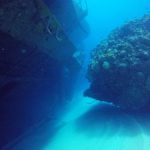 DoE confirms coral damage from Kittiwake DoE confirms coral damage from Kittiwake