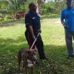 Cops and DoA focus on dangerous dogs Cops and DoA focus on dangerous dogs
