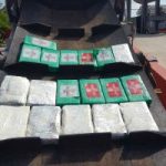 Police destroy cocaine washed up on NS beach Police destroy cocaine washed up on NS beach