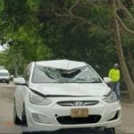Driver arrested for fatal collision on Shamrock Road Driver arrested for fatal collision on Shamrock Road