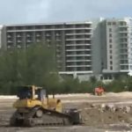 Dart’s event site poses threat to turtles Dart’s event site poses threat to turtles