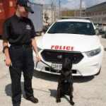 K-9 Unit gets new four-legged recruit K-9 Unit gets new four-legged recruit