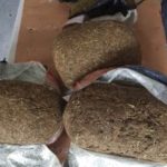 Authorities seize over $½M of ganja in two weeks Authorities seize over $½M of ganja in two weeks