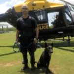 K9-Unit nets suspect in Palm Dale home invasion K9-Unit nets suspect in Palm Dale home invasion
