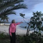 Neighbour furious over vegetation destruction Neighbour furious over vegetation destruction