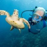 Cousteau urges CIG not to build port Cousteau urges CIG not to build port