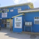 Man denies multiple charity shop burglaries Man denies multiple charity shop burglaries