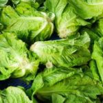 Romaine lettuce pulled from local stores Romaine lettuce pulled from local stores