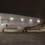 CAL boss insists new planes will save cash CAL boss insists new planes will save cash