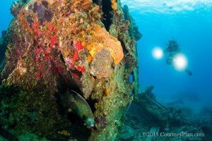 Courtney Platt, Cayman News Service